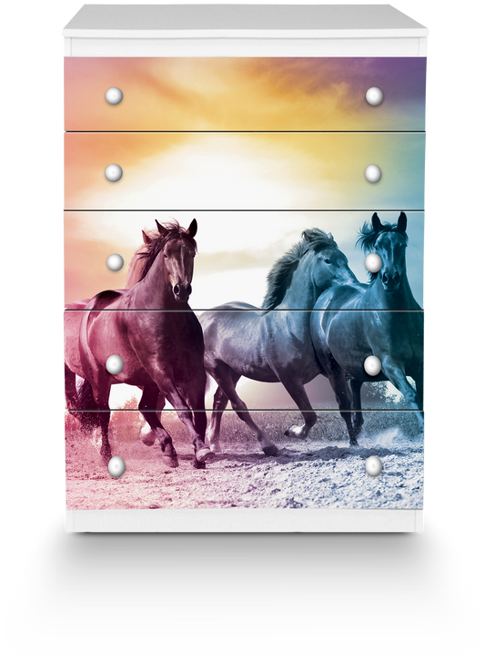 Cassettiera Cavalli
