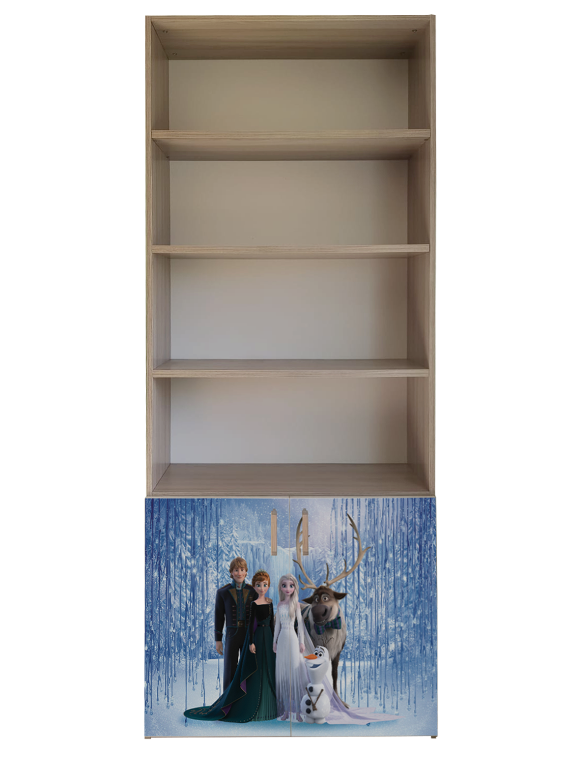 Libreria Frozen