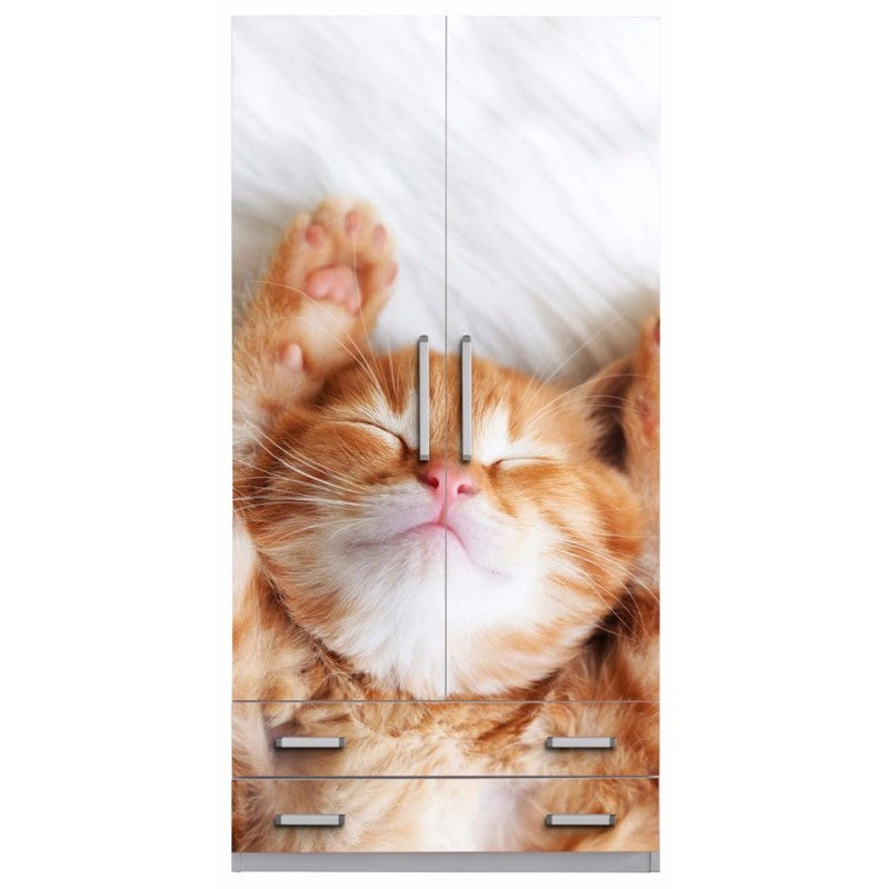 Cameretta Completa Gatto