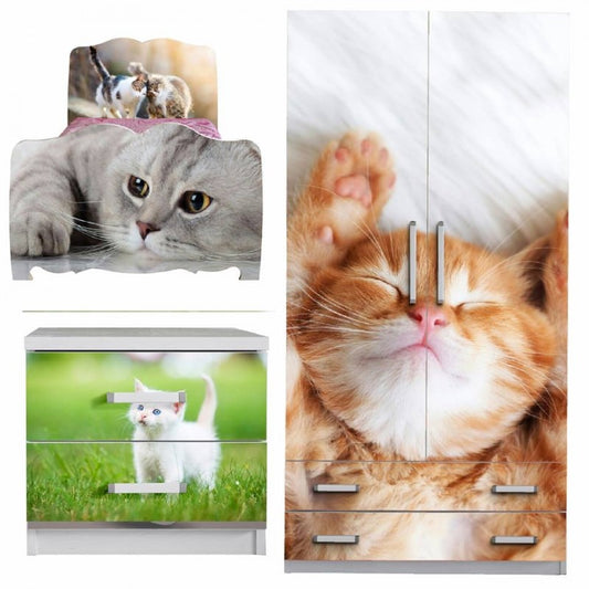 Cameretta Completa Gatto