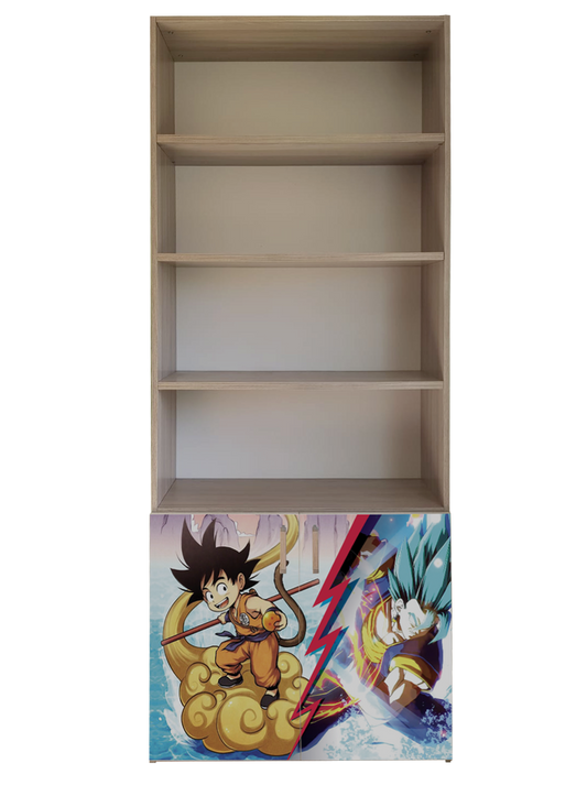 Libreria Drago