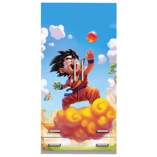 Armadio Dragon Ball